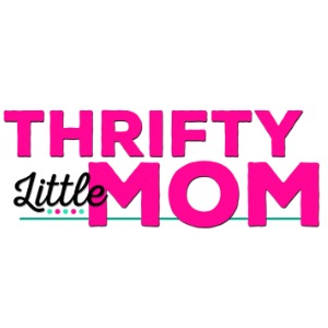 Thrifty Little Mom