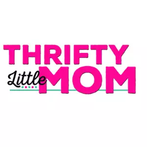 Thrifty Little Mom