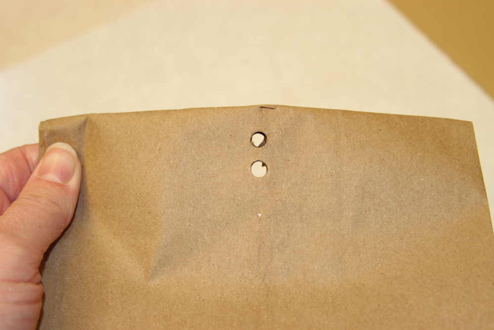 How to Start Your Own 12 Days of Christmas Tradition » Thrifty Little Mom