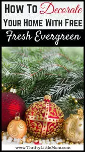 How To Decorate Your Home With Free Fresh Evergreen. Fill your home with the sites and scents of the holiday season