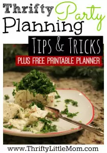 Thrifty Party Planning Tips and Tricks + Free Printable Planner. Throw amazing parties on small budgets.