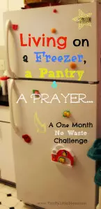 Living on a Freezer, Pantry and a Prayer.