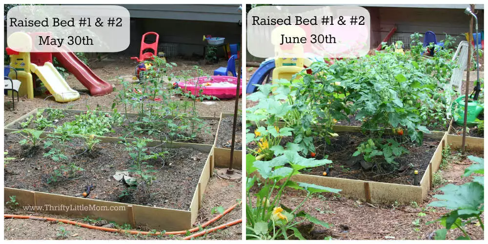 DIY Raised Garden Bed Before & After 1 &2