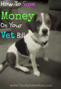Save On Pet Bill