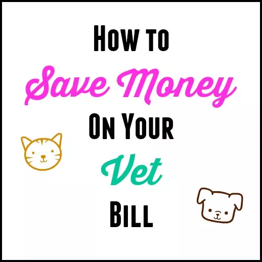 Saving Money On Your Animal Vet Bill