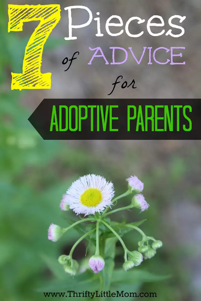 7 Pieces of Advice for Adoption