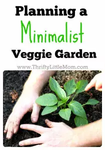 Minimalist Veggie Garden