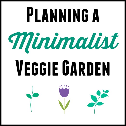 Planning a Minimalist Vegetable Garden