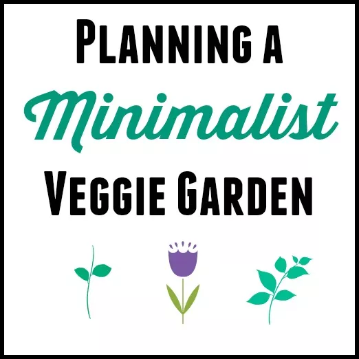Planning a Minimalist Vegetable Garden