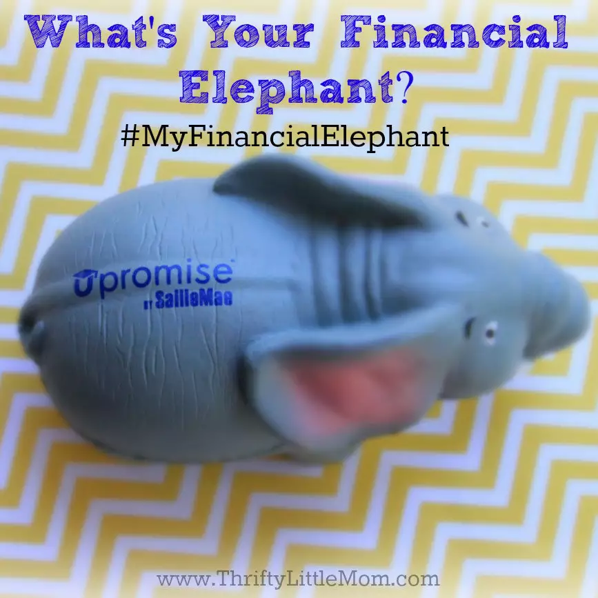 Financial Elephant Hashtag