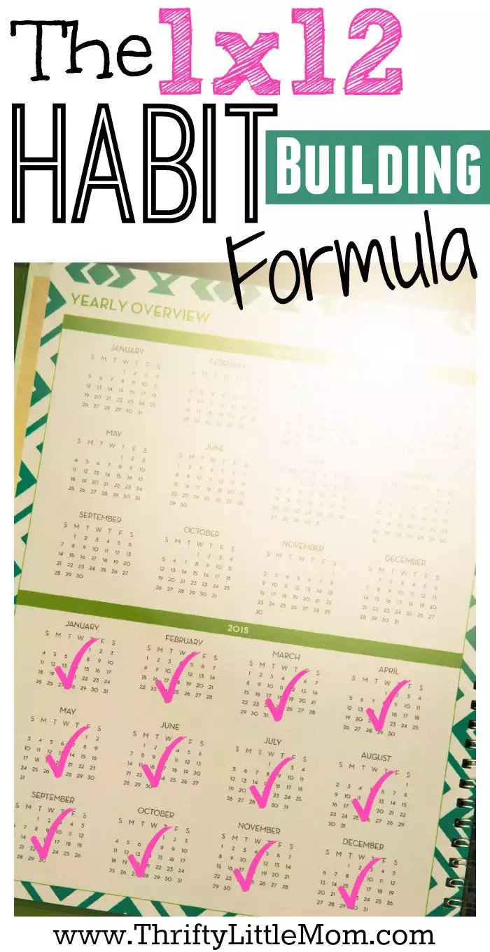 The 1 X 12 Habit Building Formula helps you set small achievable goals that stack month by month to help you create habits that stick!