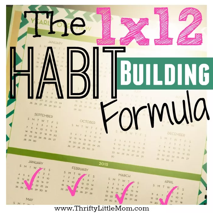 The 1 x 12 Habit Building Formula takes your goals and makes them doable.