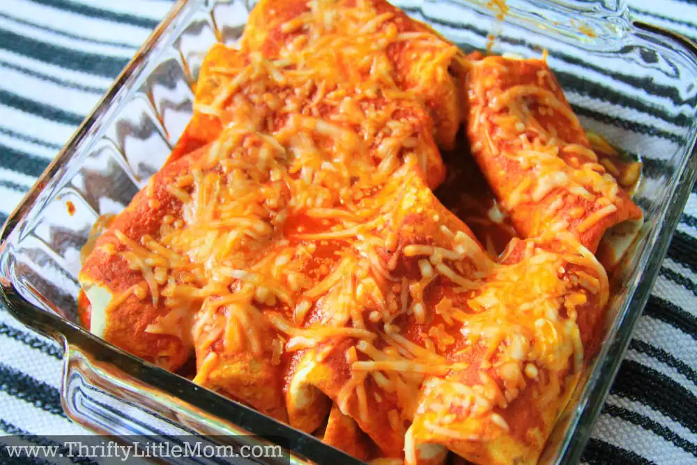 Ain't Got No Time Enchiladas with Cheese
