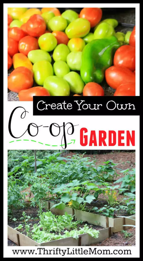 Create your own co-op garden with friends, neighbors or family with these simple tips