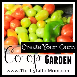 Creating your own garden co-op