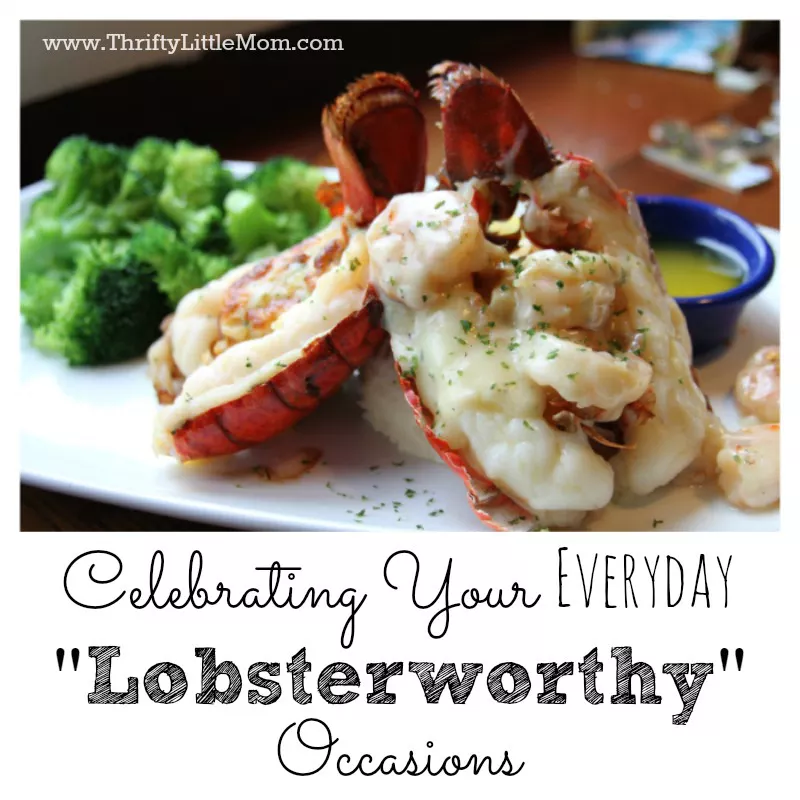 Celebrating Your Everyday “Lobsterworthy” Occasions