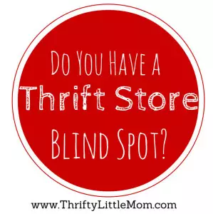 Thrift Store Blind Spot