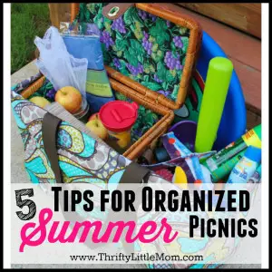 5 Tips for Organized Picnics