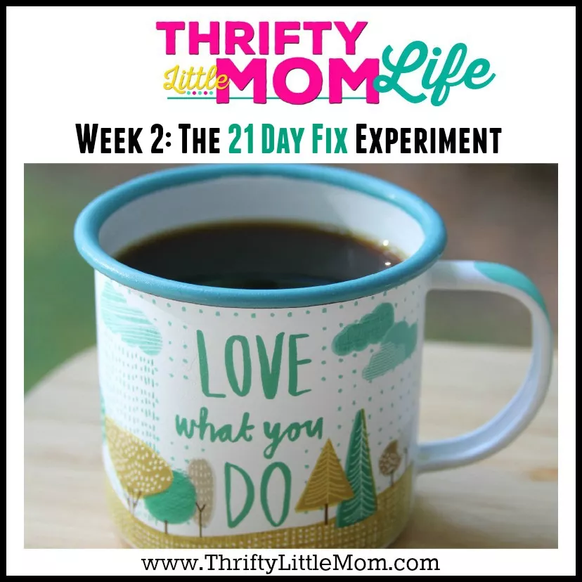 Thrifty Little Mom Life Week 2