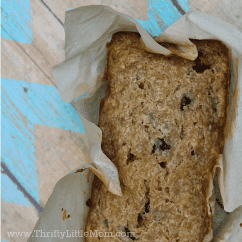 I’ve Got Way Too Many Zucchini Chocolate Chip Pecan Bread Recipe