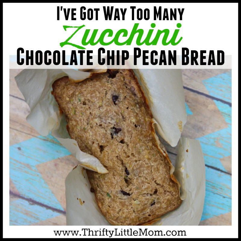I've Got Way Too Many Zucchinis Chocolate Chip Pecan Bread Recipe