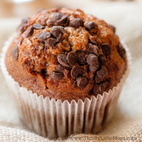 Easy Chocolate Chocolate Chip Pumpkin Muffin Recipe