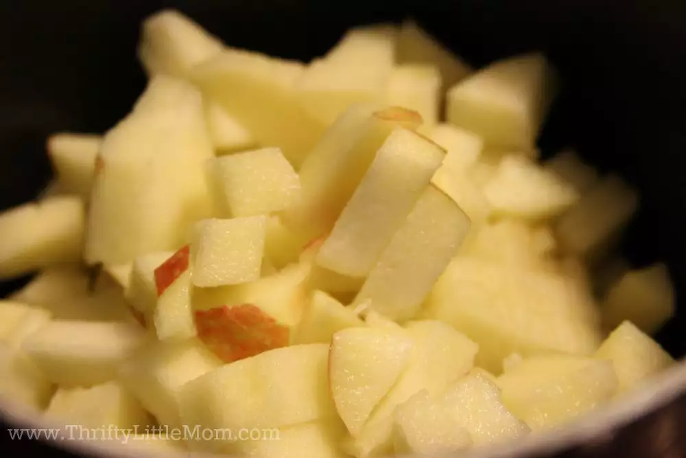 Quick & Easy Homemade Apple Turnover Diced Apples