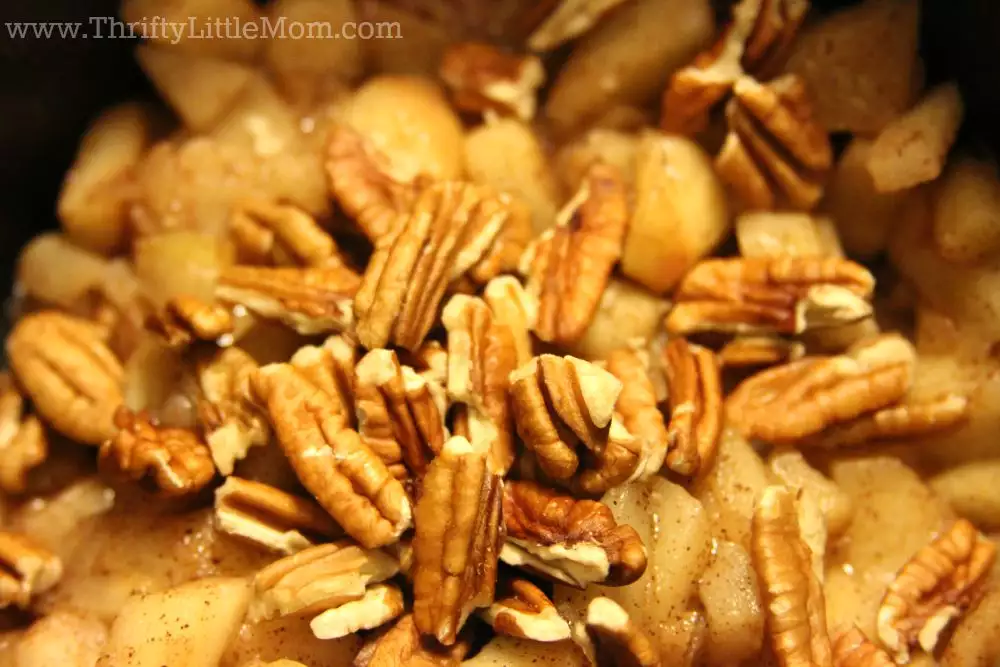 Quick & Easy Homemade Apple Turnover Pecans