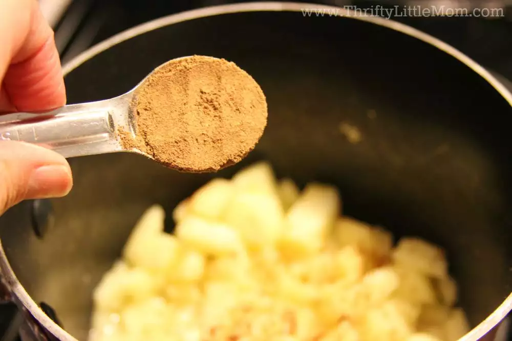 Quick & Easy Homemade Apple Turnover Spices
