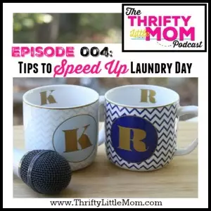 Episode 004- Tips to Speed Up Laundry Day