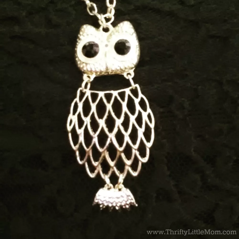 My Goodwill Owl Necklace