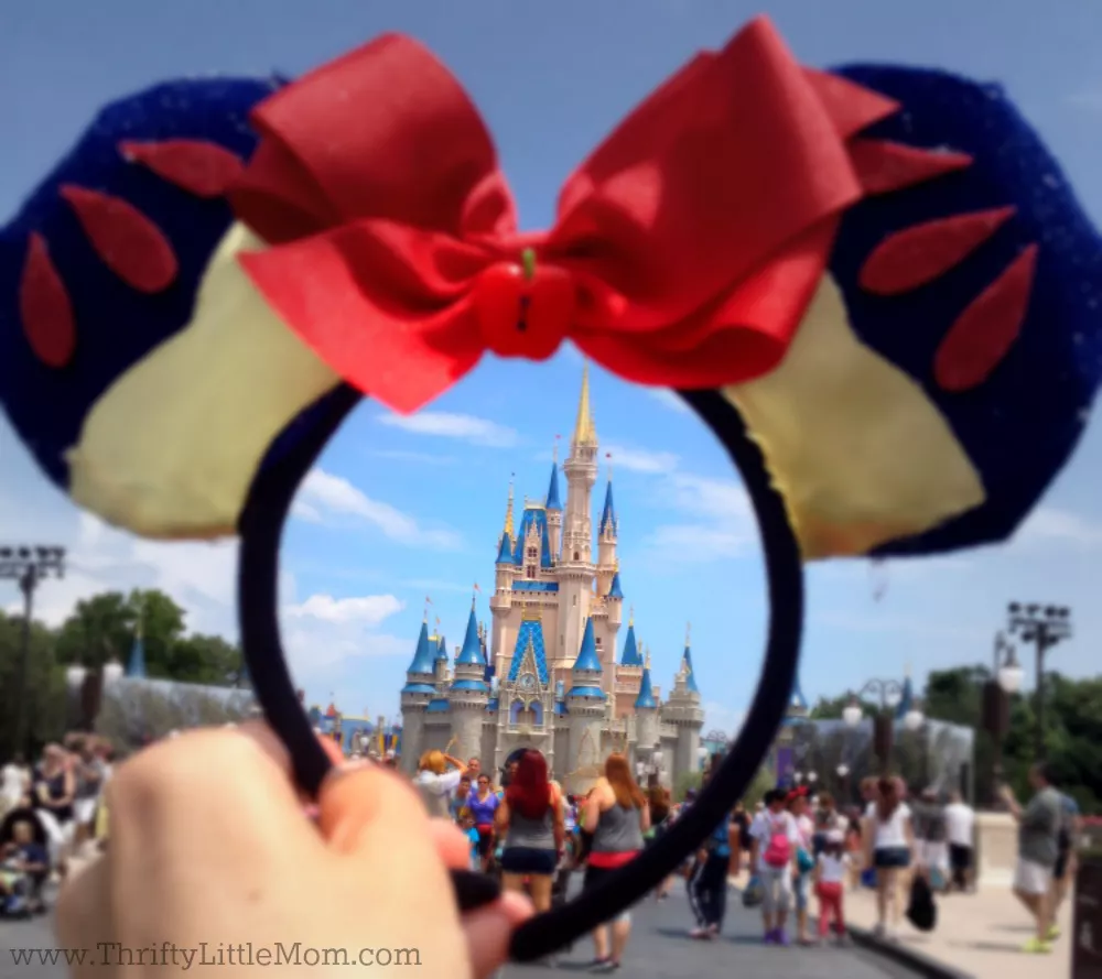 Disney Castle Through Ears
