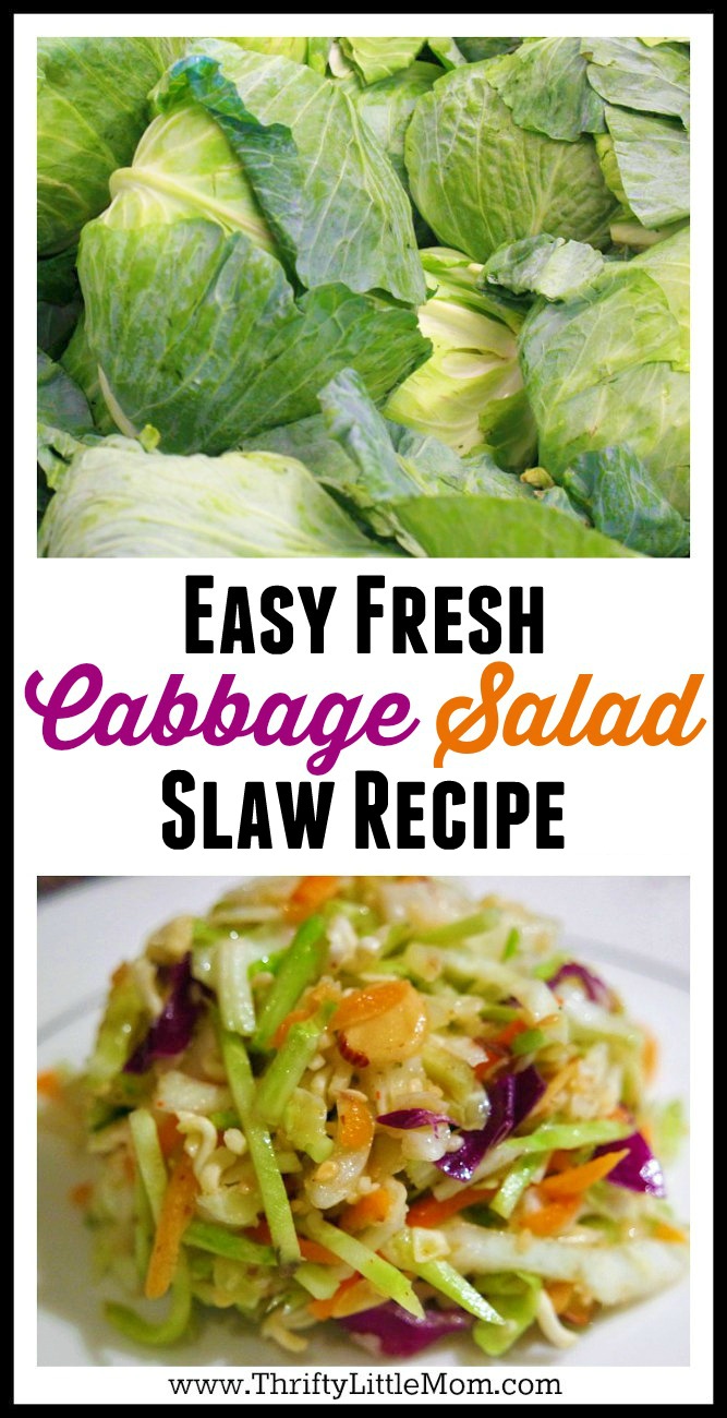 Easy Fresh Cabbage Salad Recipe