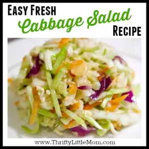 Easy Fresh Cabbage Salad Slaw