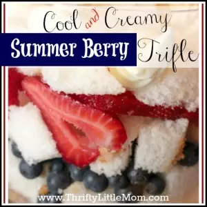Cool & Creamy Summer Berry Trifle Recipe