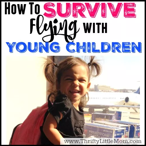 Survive Flying with Young Children