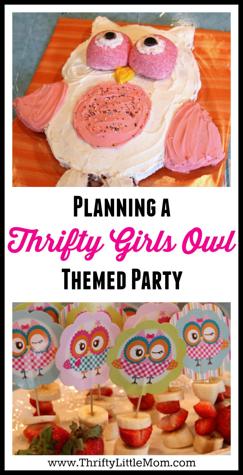 Throw A Cute Owl Themed Party Thrifty Little Mom