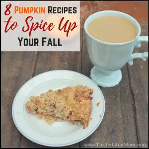 8 Pumpkin Recipes to Spice Up Your Fall! These include healthy recipes, easy desserts, pumpkin spice coffee, canned pumpkin recipes and even one's with cream cheese! You're sure to find a few you love! 