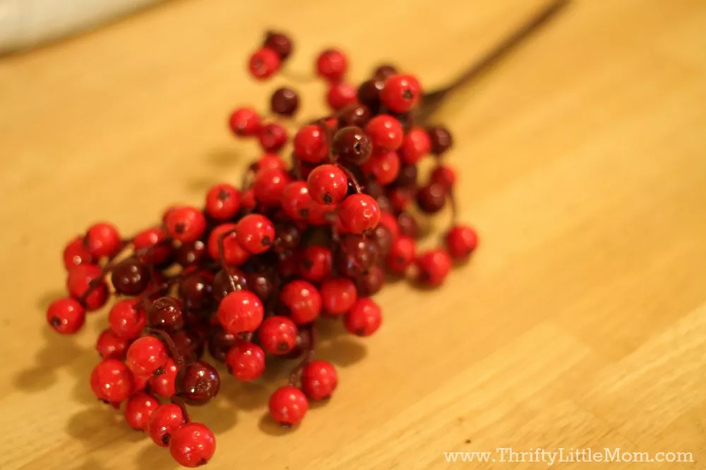 15_minute_wreath_berries