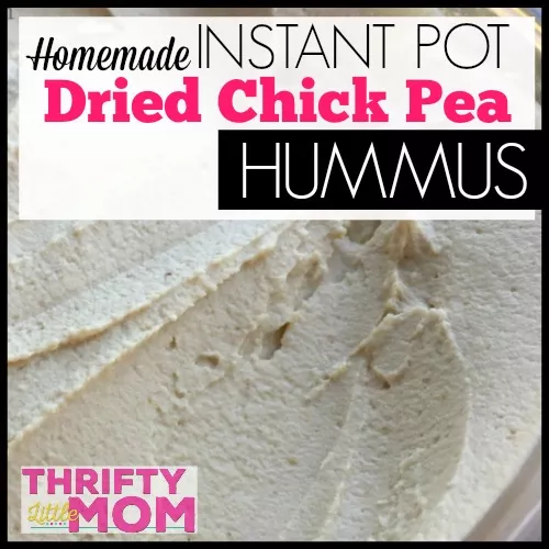 Easy Homemade Instant Pot Hummus Recipe