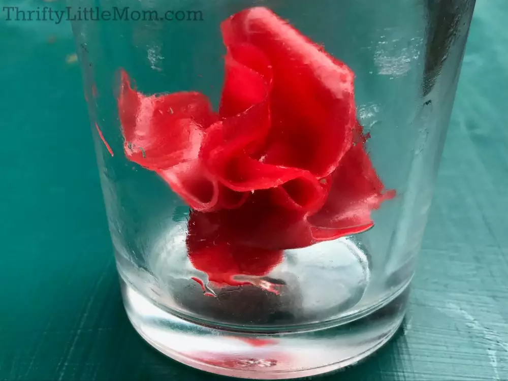 paper rose made from fruit snack in glass