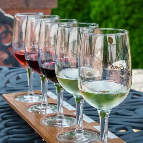 Wine For Beginners Guide: Drinking & Serving with Confidence