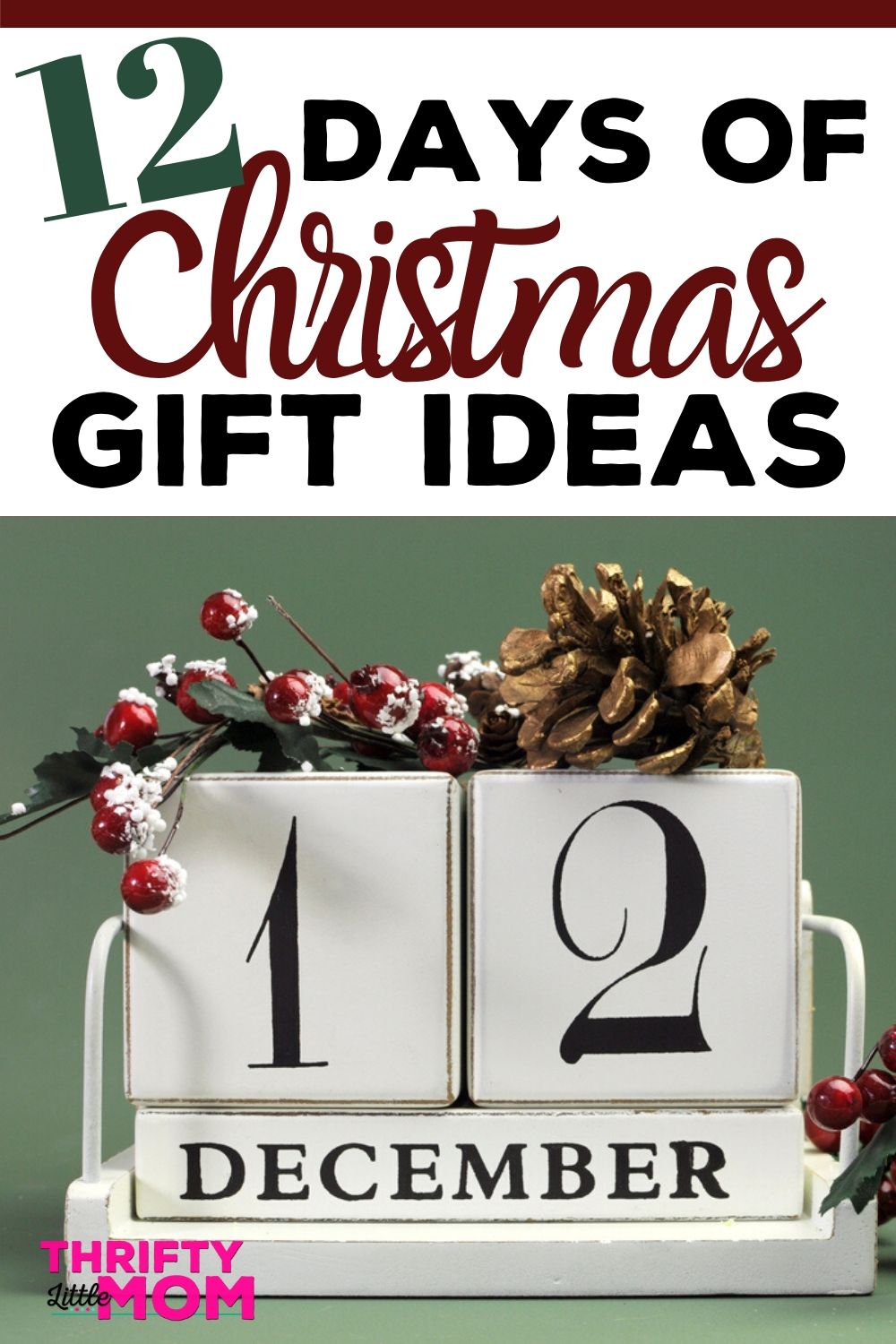 12 Days of Christmas Gift Ideas For Everyone in the Family » Thrifty Little  Mom