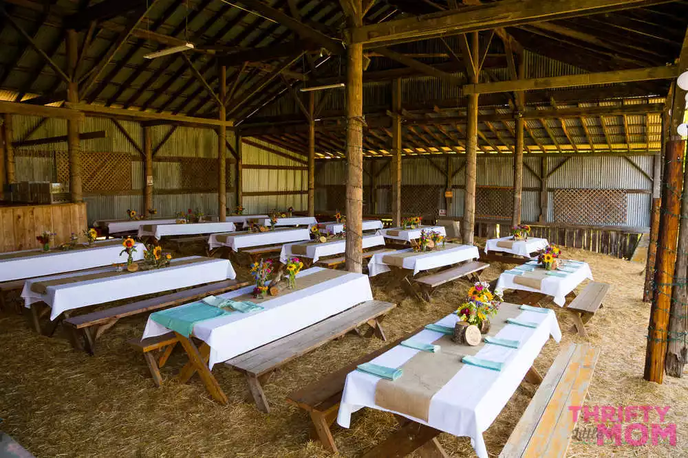 rent farm style benches for your party
