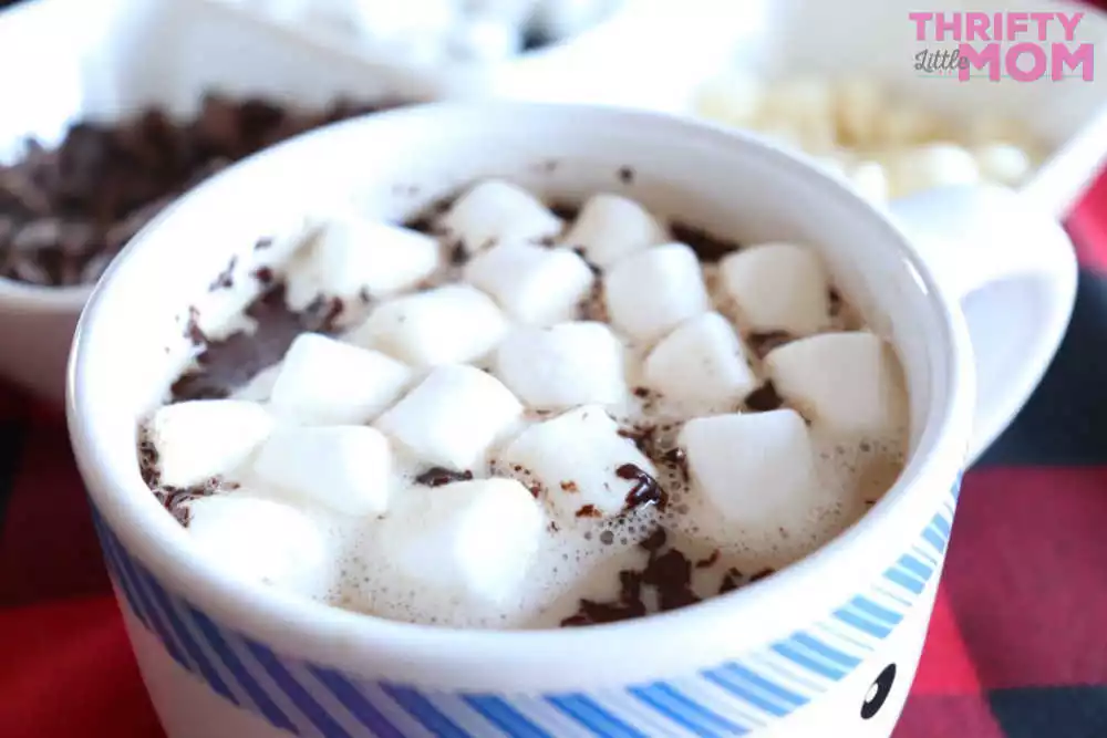 hot chocolate topped with marshmallow
