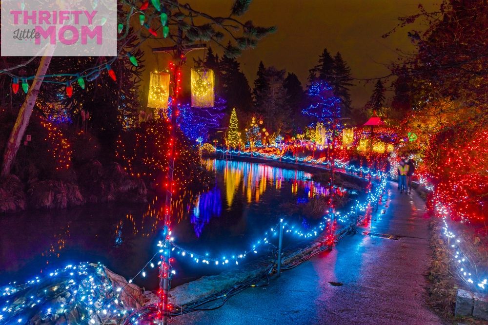 Places To Have Winter Birthday Party Birthday Greetings