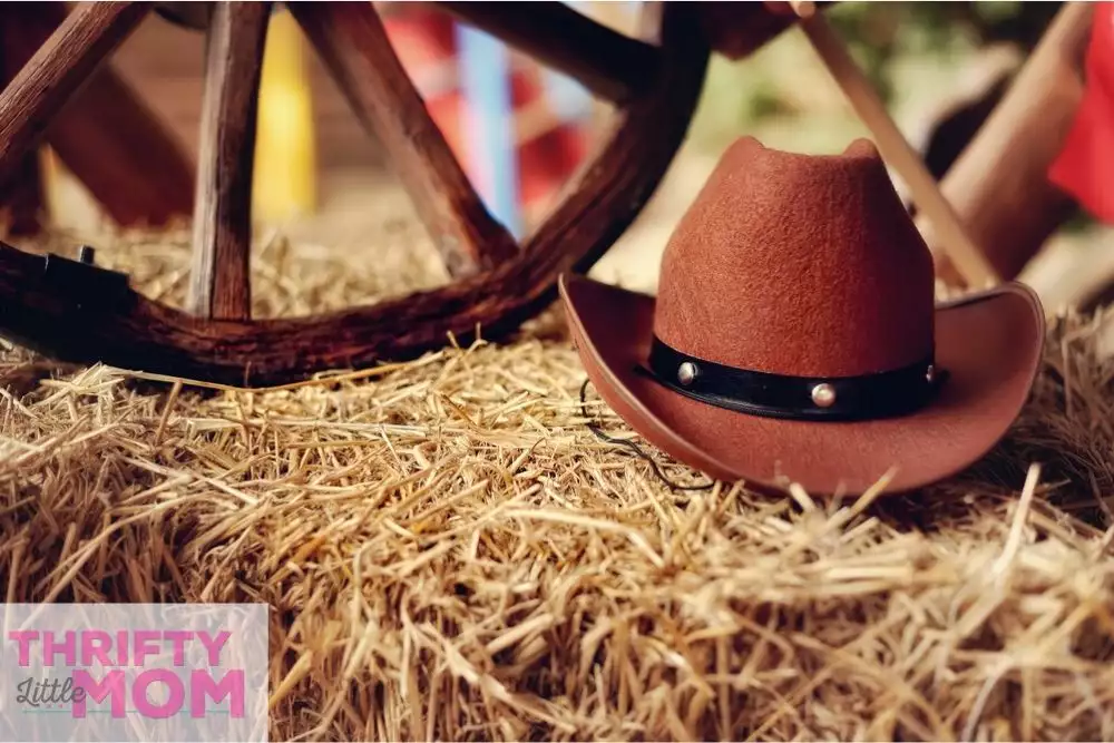 hat on hay bale for cowboy baby shower