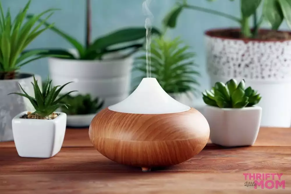diffusers and succulents are popular mother's day gift ideas
