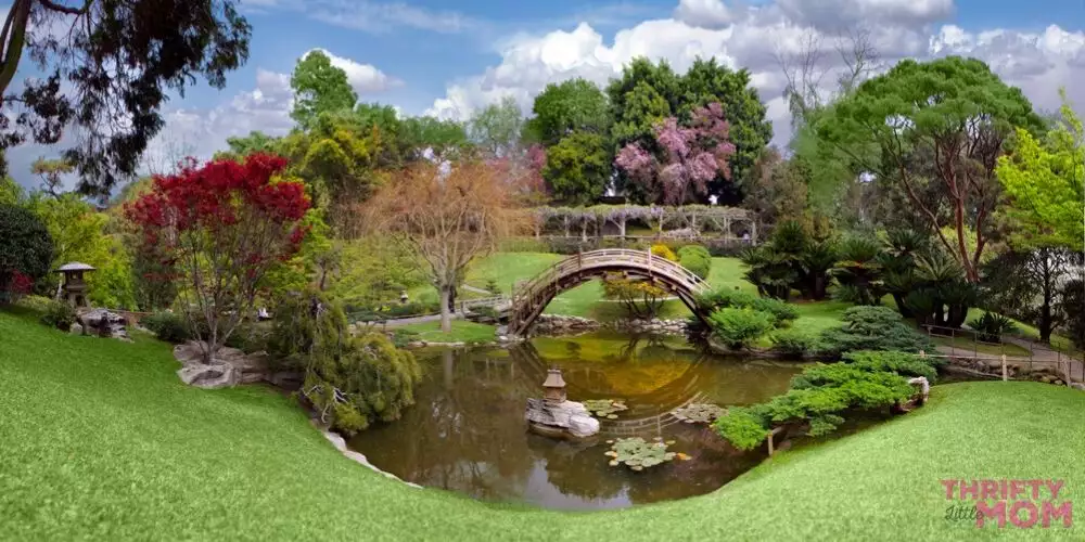 beautiful botaincal gardens with bridges create a lovely retirement party theme