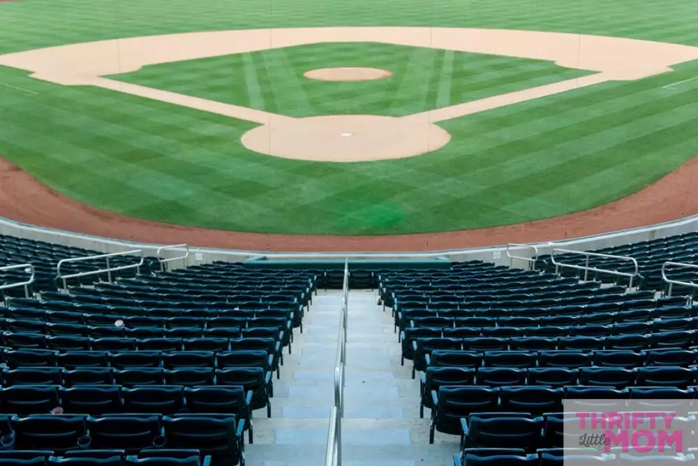 enjoy a ball park for 10 year old birthday party ideas